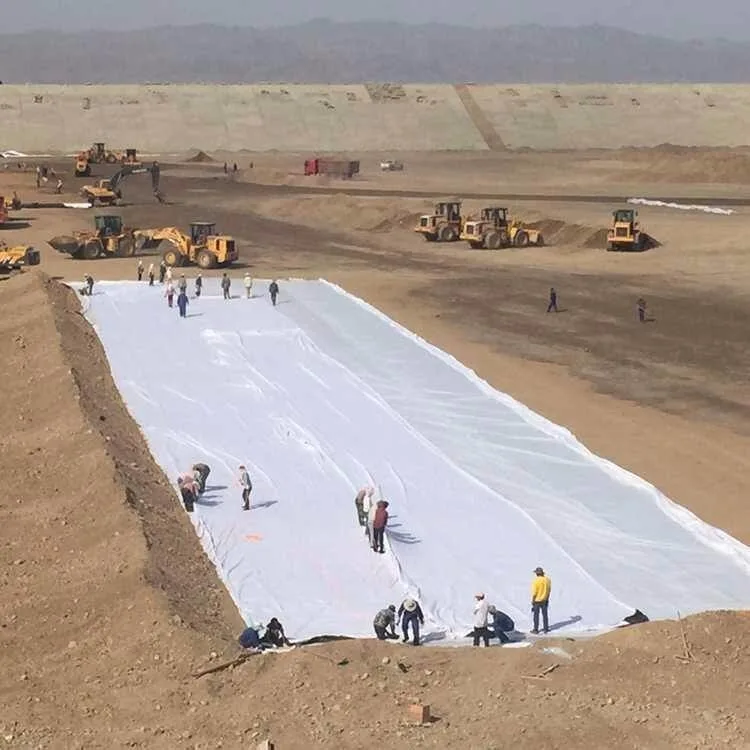 Geotextile Fabric Filament Polyester Geotextile Cost Per Square Foot for Construction in Chile