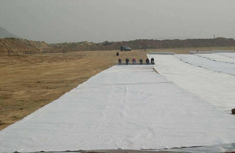 Geotextile Fabric Filament Polyester Geotextile Cost Per Square Foot for Construction in Chile