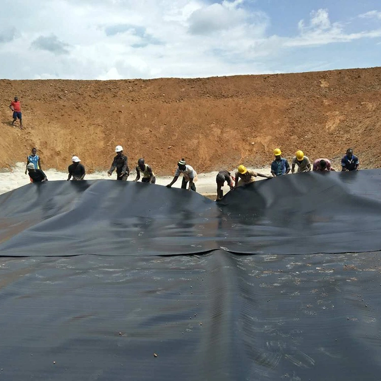 HDPE LDPE LLDPE PVC Water Pond Plastic Polyethylene Geomembrane Impermeable Liner Sheet for Fish Farming Pond