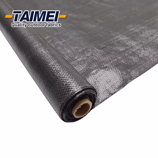Géotextile tissé en PP de stabilisation de tissu certifié Ntpep pour le renforcement du sol