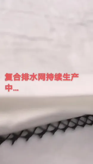 Geonet de drainage géocomposite de 6 mm utilisé dans les décharges