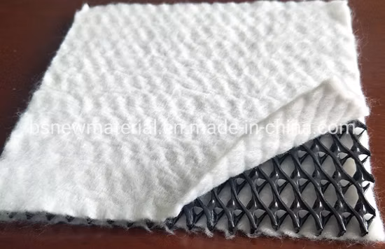 7.6mm HDPE Geonet Tri-Planer Fournisseur De Chine