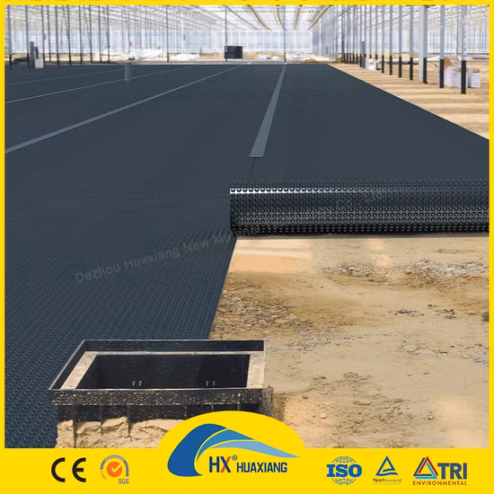 0.2mm/0.5mm/1.0mm/2.0mm Doublure en feuille de plastique noir CE/ASTM Géomembrane HDPE d'étanchéité Viring pour l'agriculture/barrage/décharge/lac/biogaz/projet d'aquaculture