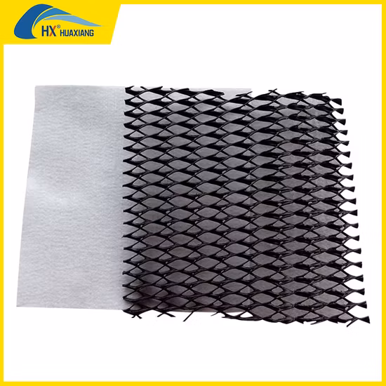 prix d'usine 2D&3D Filet de drainage composite pour la construction de routes
