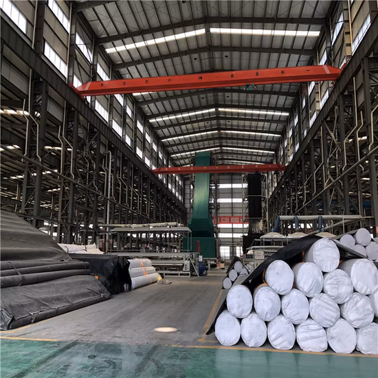 0.3mm 0.5mm 0.75mm 1.0mm 1.5mm 2.0mm Lisse Blanc Noir Vert Bleu HDPE LLDPE Géomembrane Imperméable pour l'Agriculture Pond Liner au Sri-Lanka