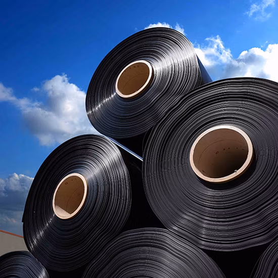 Commerce de gros 100% Polyéthylène haute densité vierge anti-infiltration géomembrane HDPE texturée lisse imperméable pour l'enfouissement minier barrage eau lac étang doublure prix