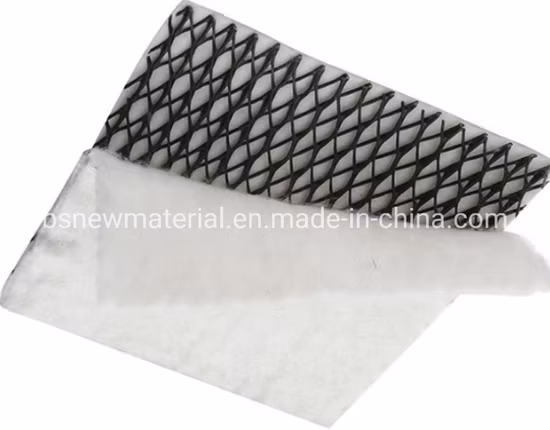 Drainage HDPE Plastique Geonet Bon Prix
